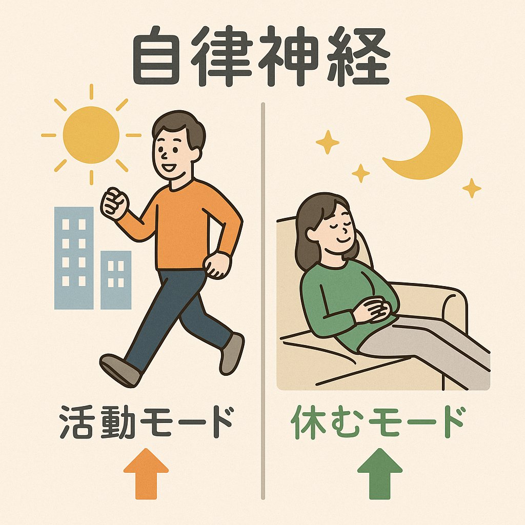 自律神経のイラスト。左は活動モード（太陽と歩行）、右は休むモード（月とリラックス）