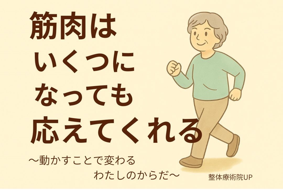筋肉は、いくつになっても応えてくれる。〜動かすことで変わる、わたしのからだ〜｜整体療術院UP